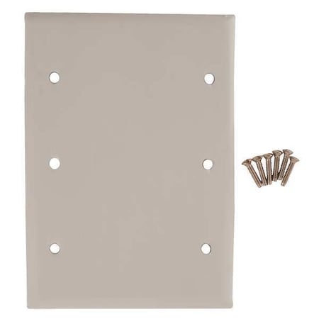 Blank Box Mount Wall Plates and Box Cover, Number of Gangs: 3 Stainless Steel, Brushed Finish MPN:SS33