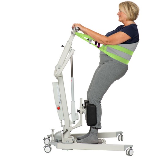 Example of GoVets Stand Aid Sling category
