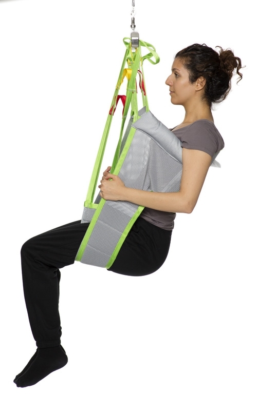 Example of GoVets Toileting Sling category