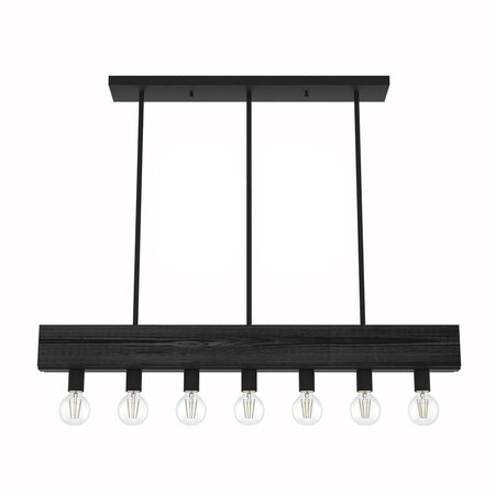 Downrod Light, Natural Iron, 120 V, UL L MPN:19057