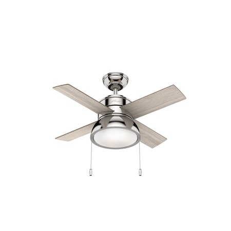 Indoor/Outdoor Ceiling Fan, 52 In Blade Dia, 5 Blades, 4 Speeds, 120, Matte Black MPN:55078