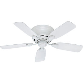 Hunter Fan Low Profile® IV 42
