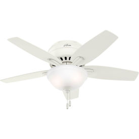 Hunter Fan 42