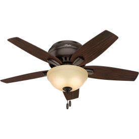 Hunter Fan 42
