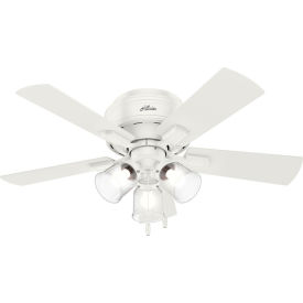 Hunter Fan 42