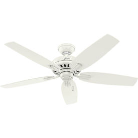Hunter Fan 52