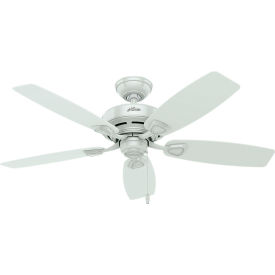 Hunter Fan 48