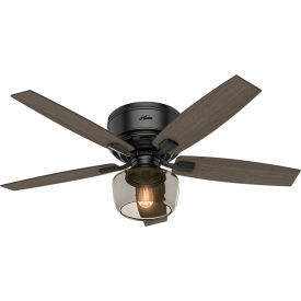 Hunter Fan 52