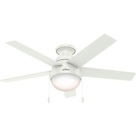 Hunter Fan 46