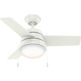 Hunter Fan 36