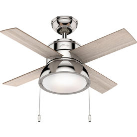 Hunter Fan 36