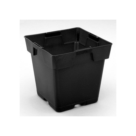 Planter, 5 1/2