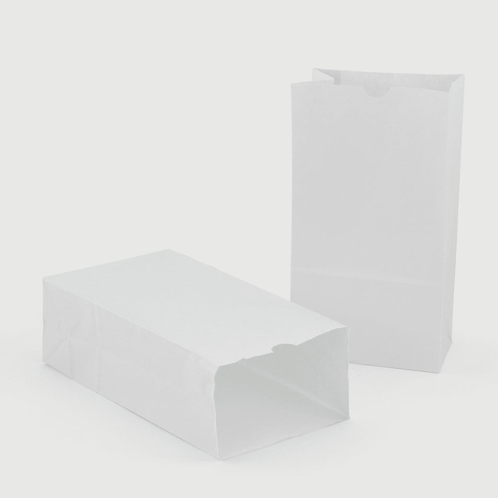 Hygloss Craft Bags, #6, 6inH x 3 1/2inW x 11inD, White, 100 Bags Per Pack, Set Of 2 Packs MPN:HYG66101-2