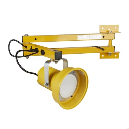 Dock Light, 40 in, Poly Head, LED Bulb MPN:60-5483-550