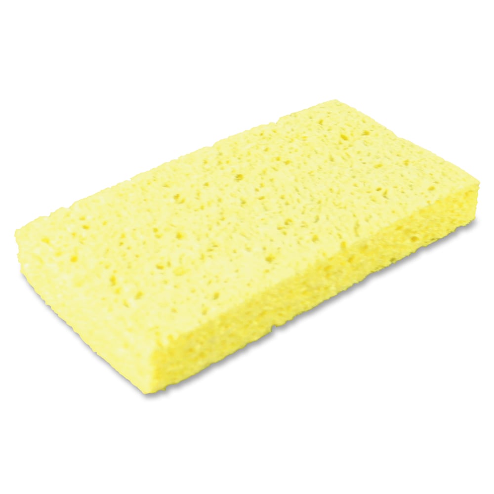 Example of GoVets Sponges category
