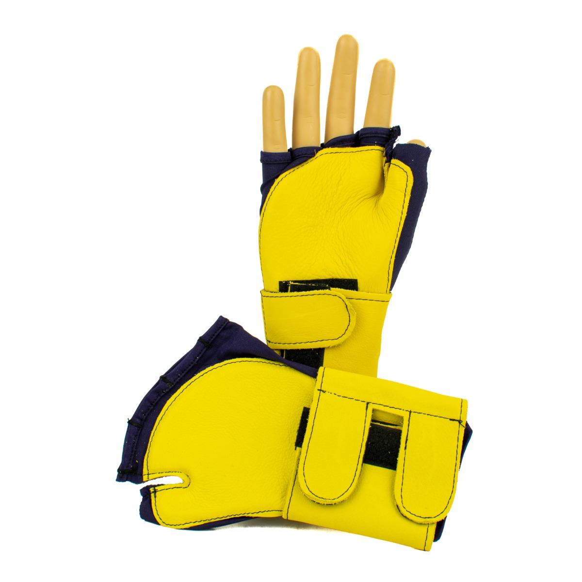 Example of GoVets Impacto category