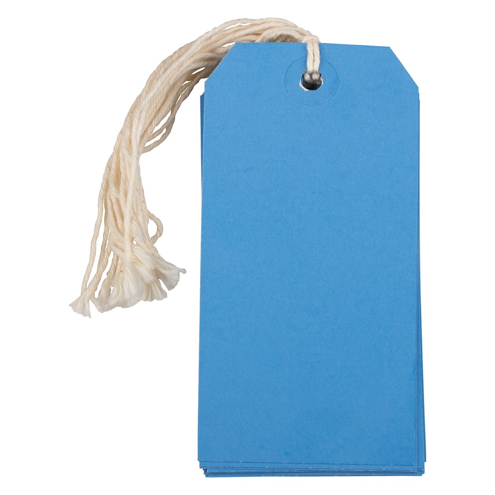JAM Paper Gift Tags, 4 3/4in x 2 3/8in, Blue, Pack Of 10 MPN:39197115