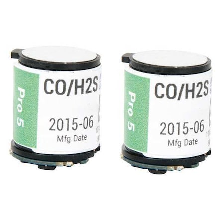 Large Replacement Dual Sensor, CO, H2S MPN:17156919
