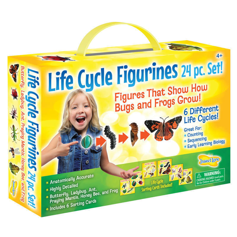 Insect Lore Life Cycle Figurines, Set Of 24 Figurines MPN:ILP2205