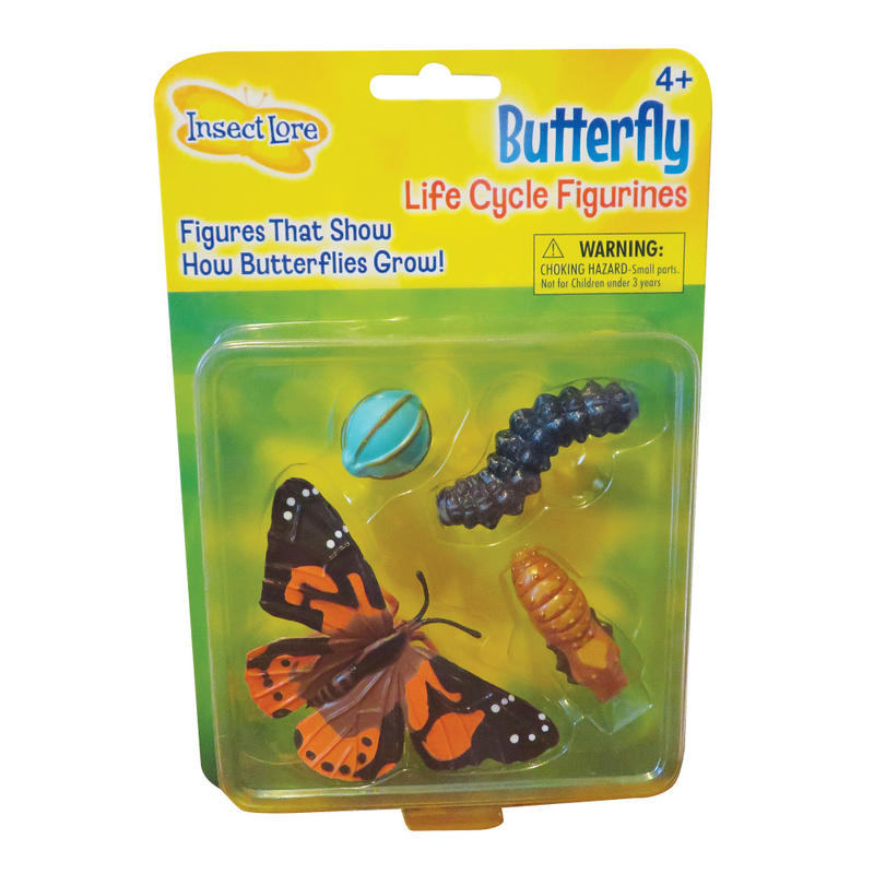 Insect Lore Butterfly Life Cycle Stages, Pre-K - Grade 6 MPN:ILP4760
