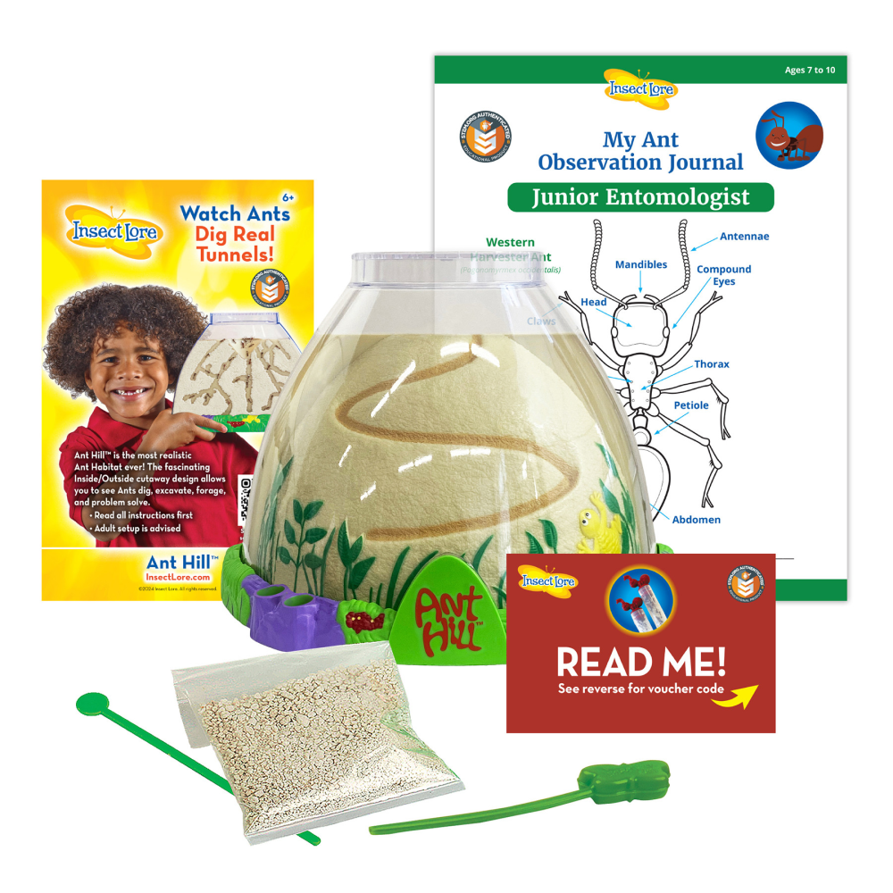 Insect Lore Ant Hill Ant Habitat, Multicolor MPN:ILP5530