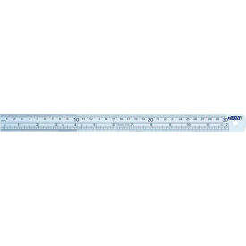Insize 7110-3001 Steel Ruler 12