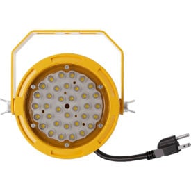 Ideal Warehouse® IDEALBrite™ LED Dock Light Head 10W 1200 Lumens 60-1000