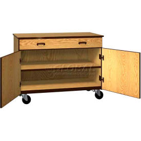 Mobile Wood Cabinet 1 Drawer 1 Shelf Solid Door 48