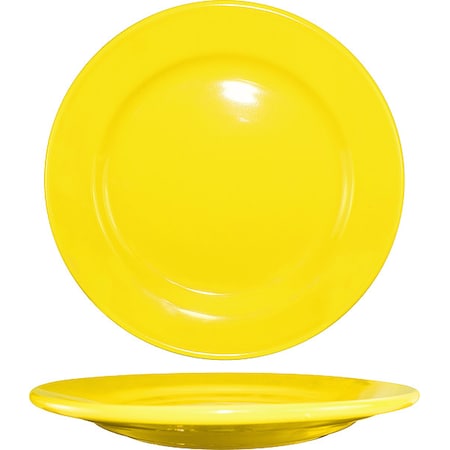 Wide Rim Plate, 9