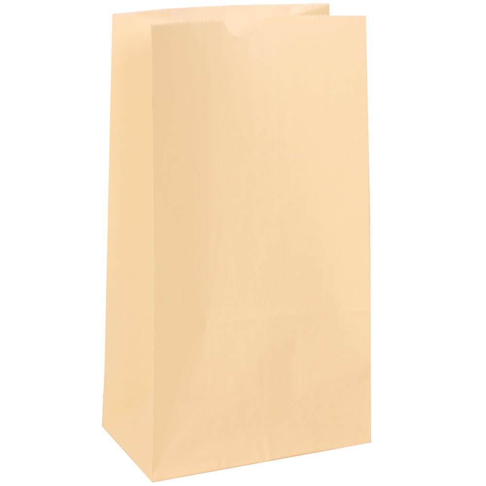 JAM Paper Medium Kraft Lunch Bags, 9-3/4inH x 5inW x 3inD, Ivory, Pack Of 500 Bags MPN:691KRIV