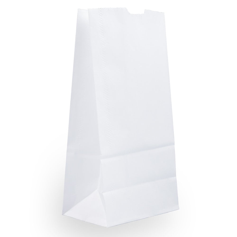 JAM Paper Medium Kraft Lunch Bags, 9 3/4 x 5 x 3, White, Pack Of 25 Bags MPN:691KRWH