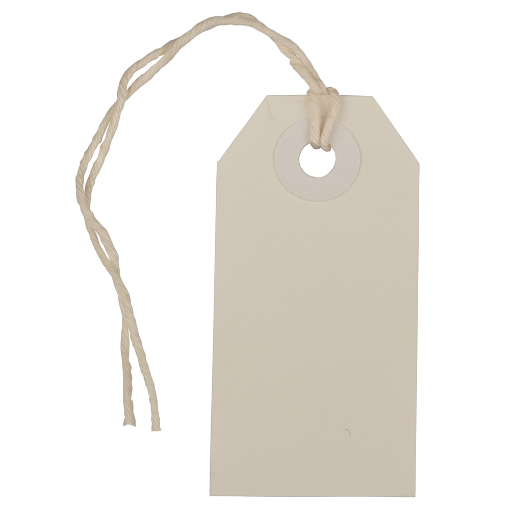 JAM Paper Tiny Gift Tags, 3-3/8in x 2-3/4in, White, Pack Of 10 Tags MPN:391913522A
