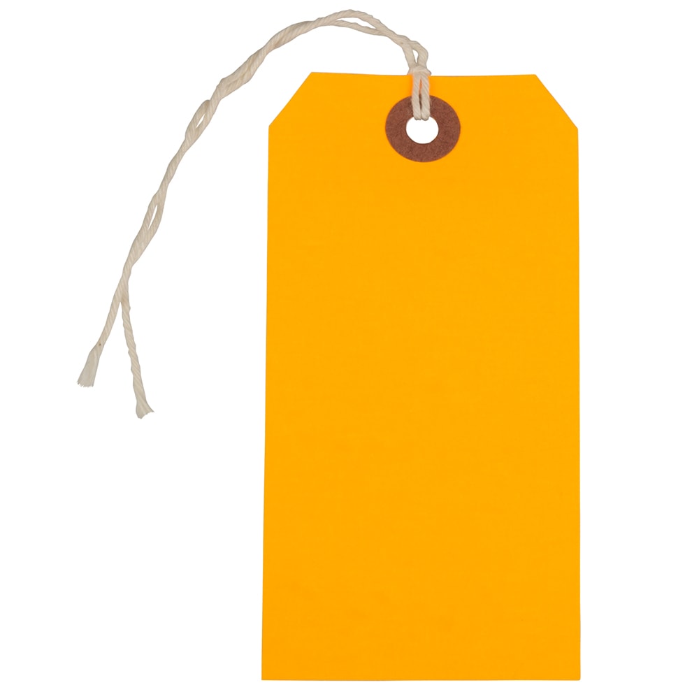 JAM Paper Medium Gift Tags, 4-3/4in x 2-3/8in, Neon Orange, Pack Of 10 Tags MPN:91931039A