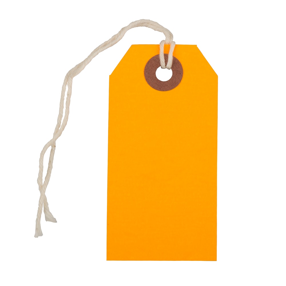 JAM Paper Small Gift Tags, 3-1/4in x 1-9/16in, Neon Orange, Pack Of 10 Tags MPN:91931044A