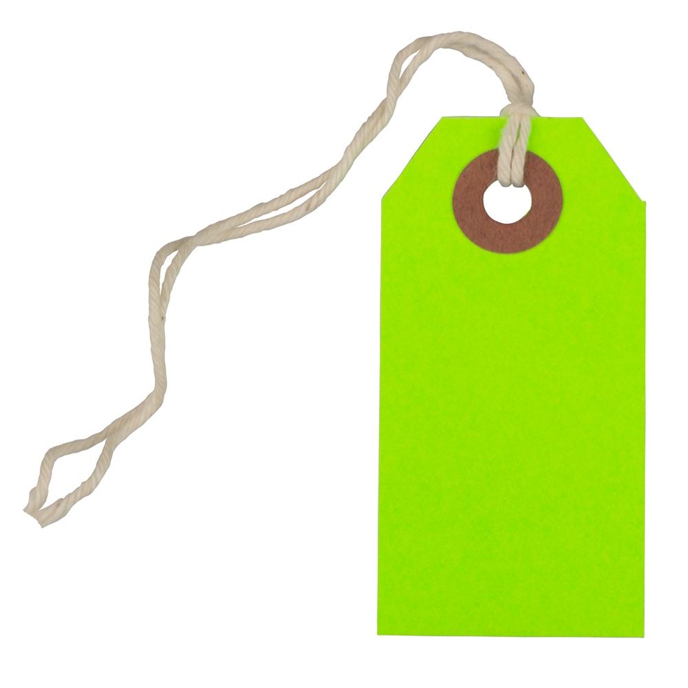 JAM Paper Tiny Gift Tags, 3-3/8in x 2-3/4in, Neon Green, Pack Of 10 Tags MPN:91931047A