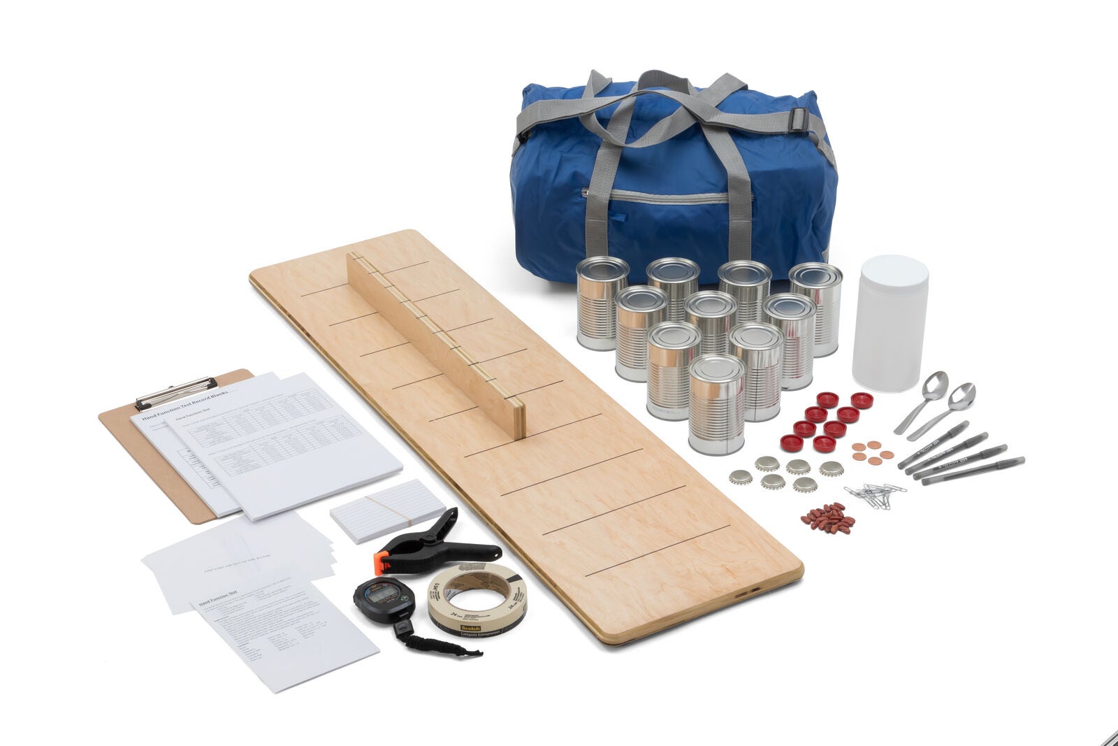 Example of GoVets Fine Motor Assessments category
