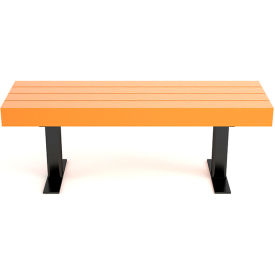 Frog Furnishings Trailside 4' Recycled Plastic Bench Cedar Bench/Black Frame PB 4CEDTRA