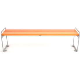 Frog Furnishings Plaza 6' Recycled Plastic Bench Backless Cedar Bench/Silver Frame PB 6CEDSFPLZBAC