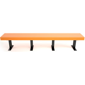 Frog Furnishings Trailside 8' Recycled Plastic Bench Cedar Bench/Black Frame PB 8CEDTRA