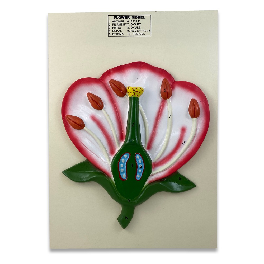 Supertek 3-D Flower Model, Assorted Colors MPN:SKFB12812