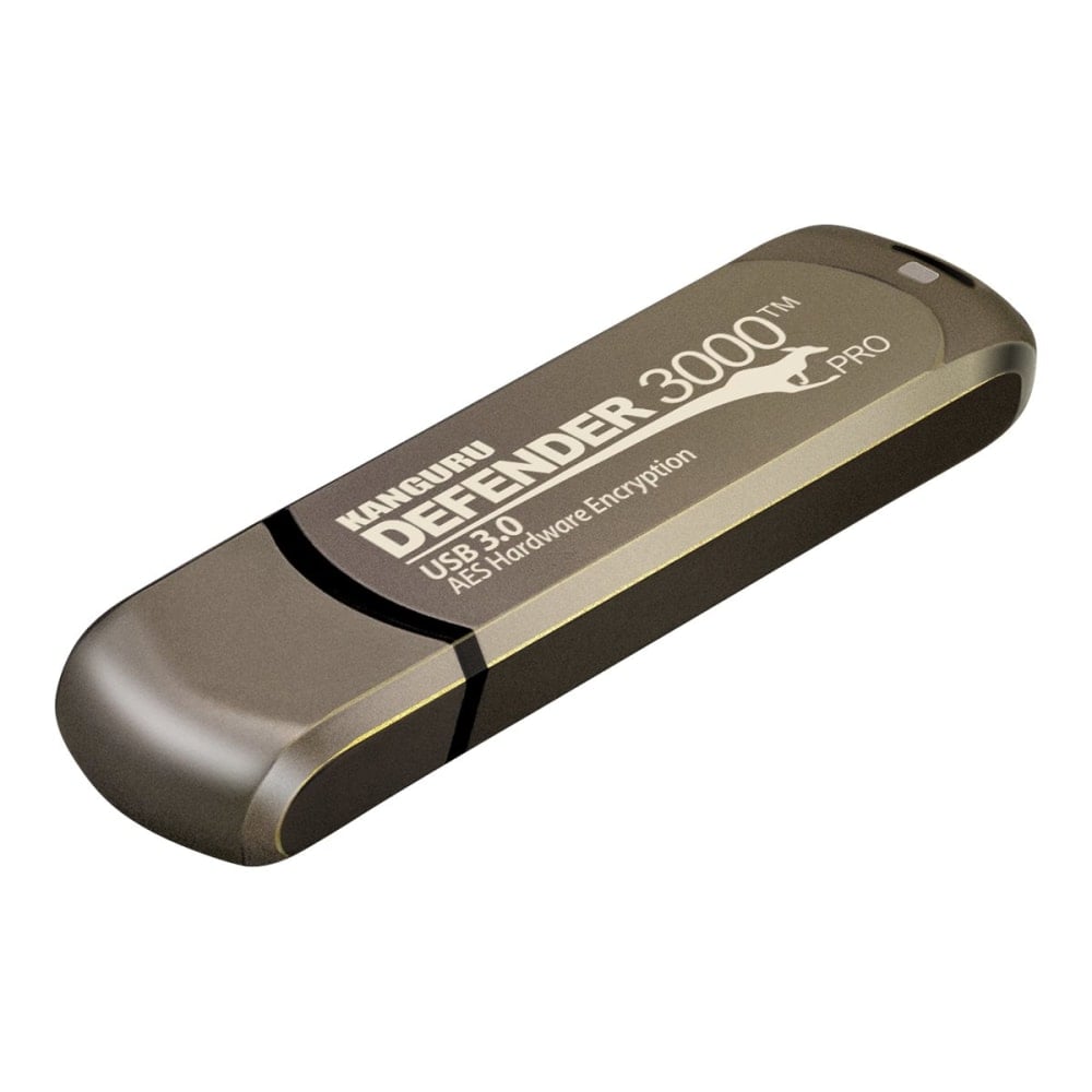 Kanguru Encrypted Defender 3000 - USB flash drive - encrypted - FIPS 140-2 Level 3 - 256 GB - USB 3.2 Gen 1 - TAA Compliant MPN:KDF3000-256G