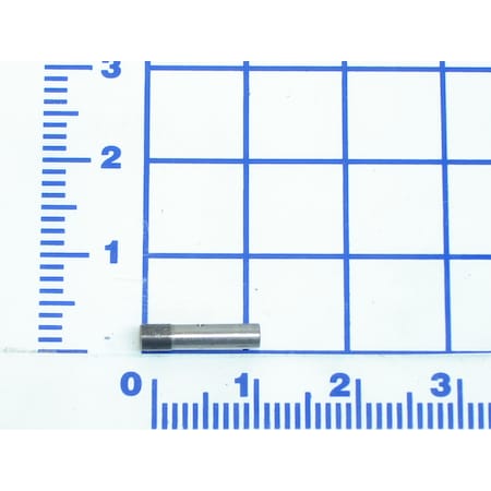 Example of GoVets Kelley Atlantic category