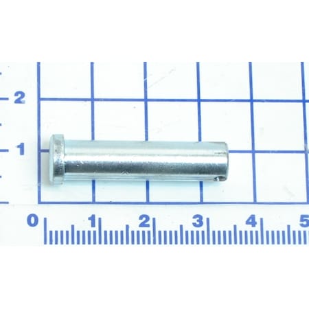 Example of GoVets Kelley Atlantic category