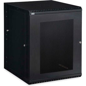 Kendall Howard™ 15U LINIER® Swing-Out Wall Mount Cabinet - Vented Door 3132-3-001-15