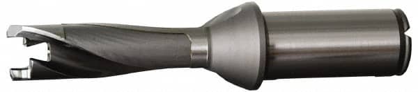 Replaceable-Tip Drill: 19 to 19.99 mm Dia, 100 mm Max Depth, 25 mm Weldon Flat Shank MPN:3017677