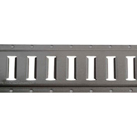 Kinedyne Series E Steel Horizontal Flanged Track 43002 - 10' Gray Powder Coat 43002