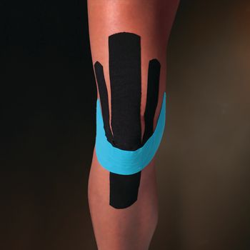 Example of GoVets Kinesio category