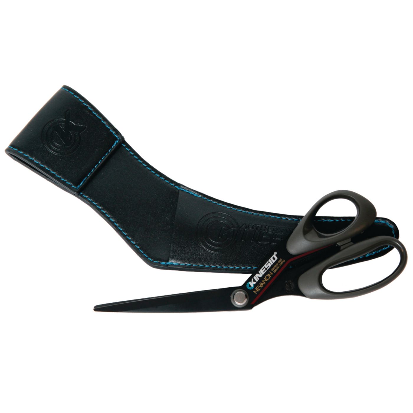 Example of GoVets Kinesio category
