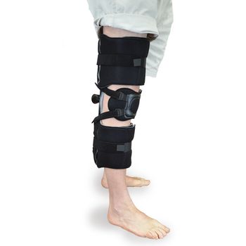 Example of GoVets Kmo brand