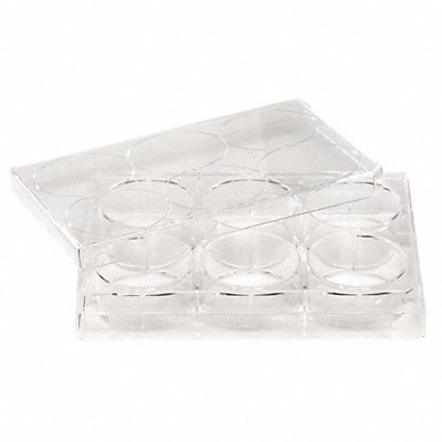 6 Well Tissue Culture Plate w/Lid PK50 MPN:667105